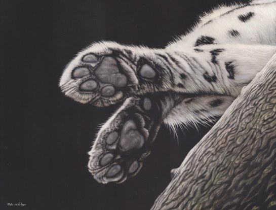 Amur leopard Pads_1579x1200